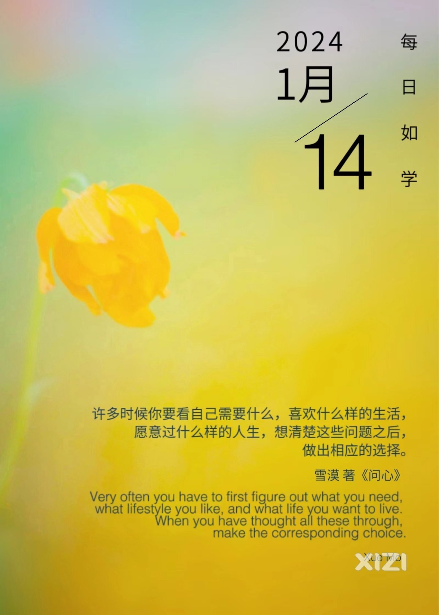 雪语1509
