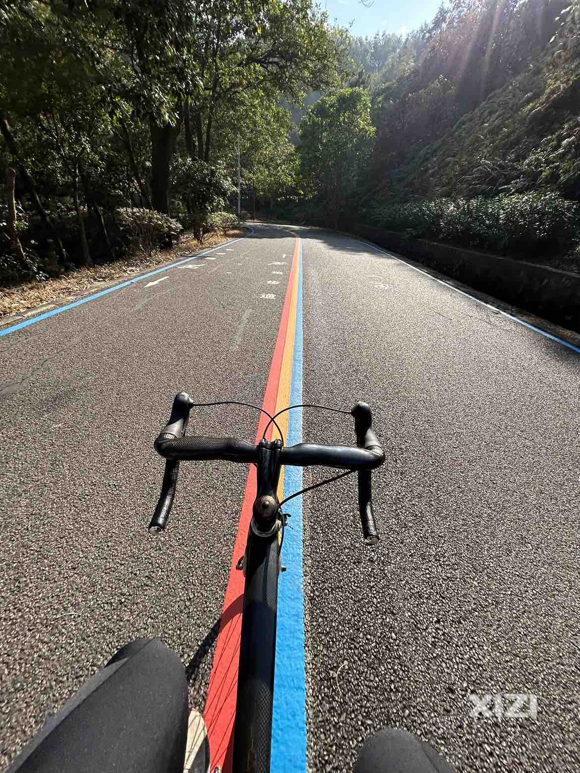 公路车遇上花海