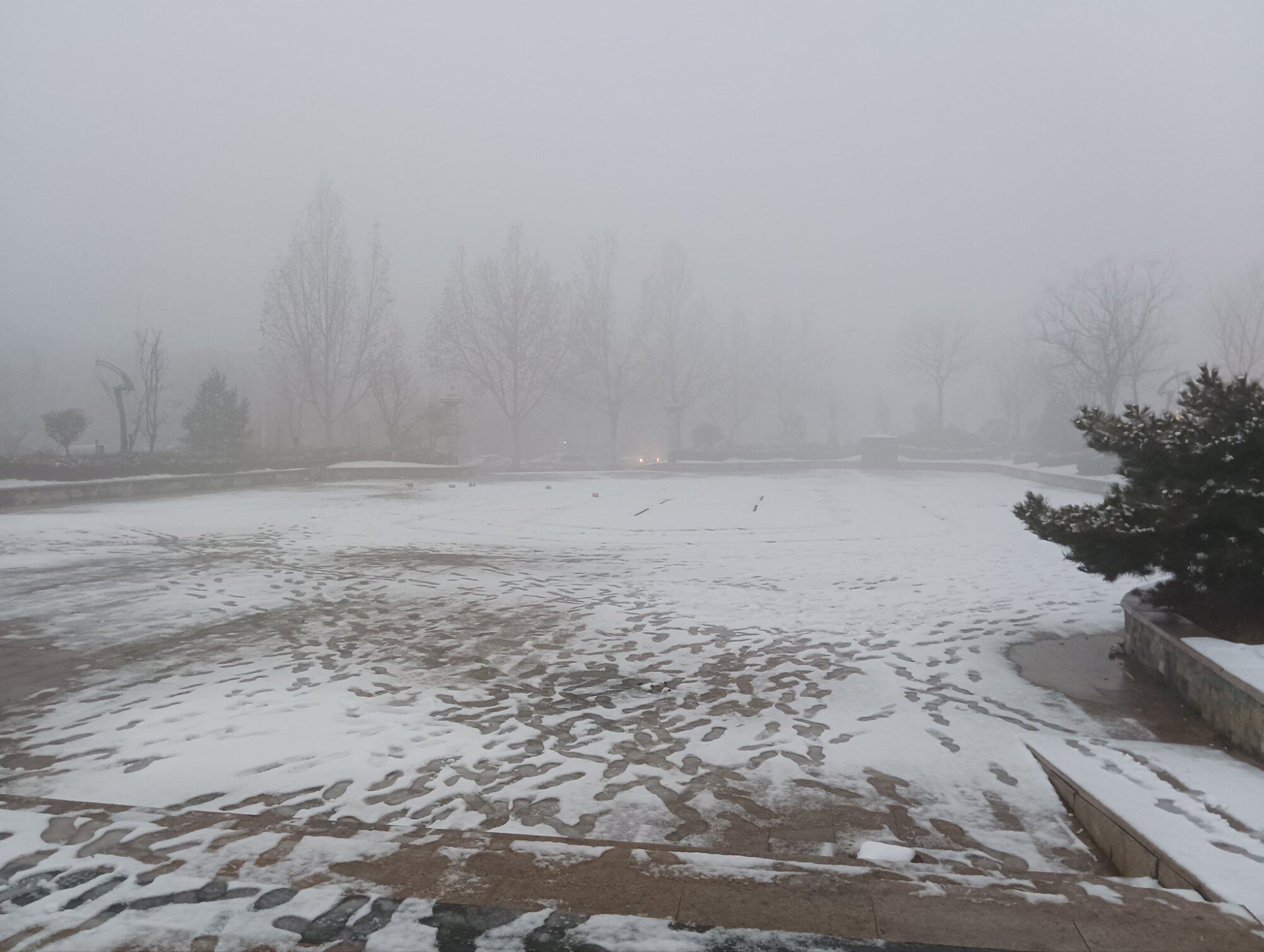 雪花纷纷落，银装素裹