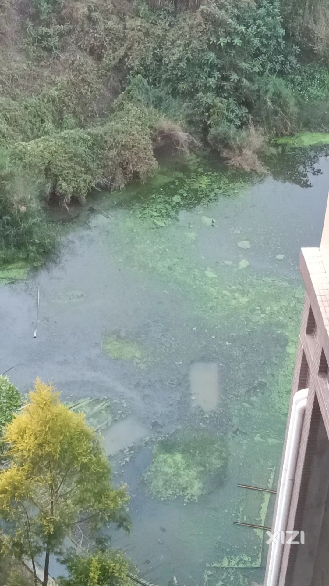 山湖海小区卫生环境