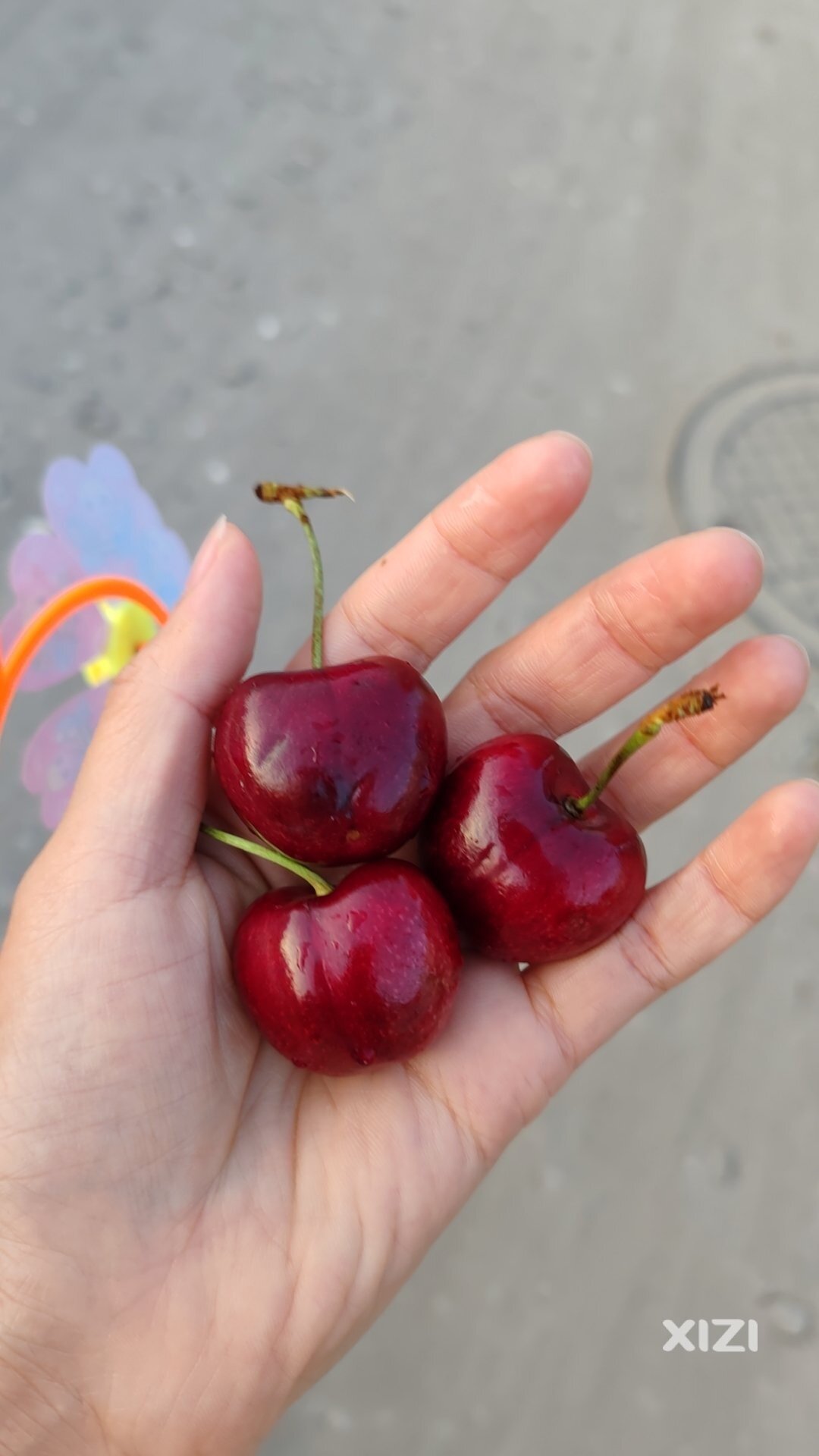 4j确实很大