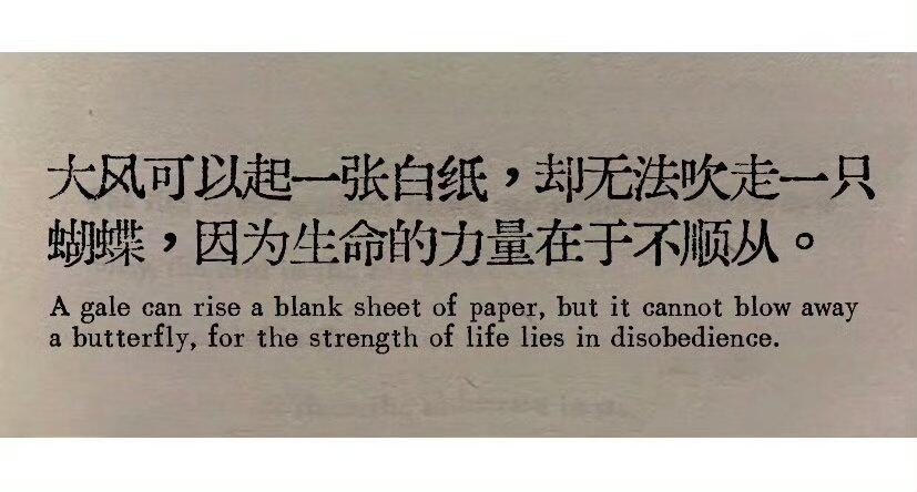 解读他的策略：层次与情感的较量
