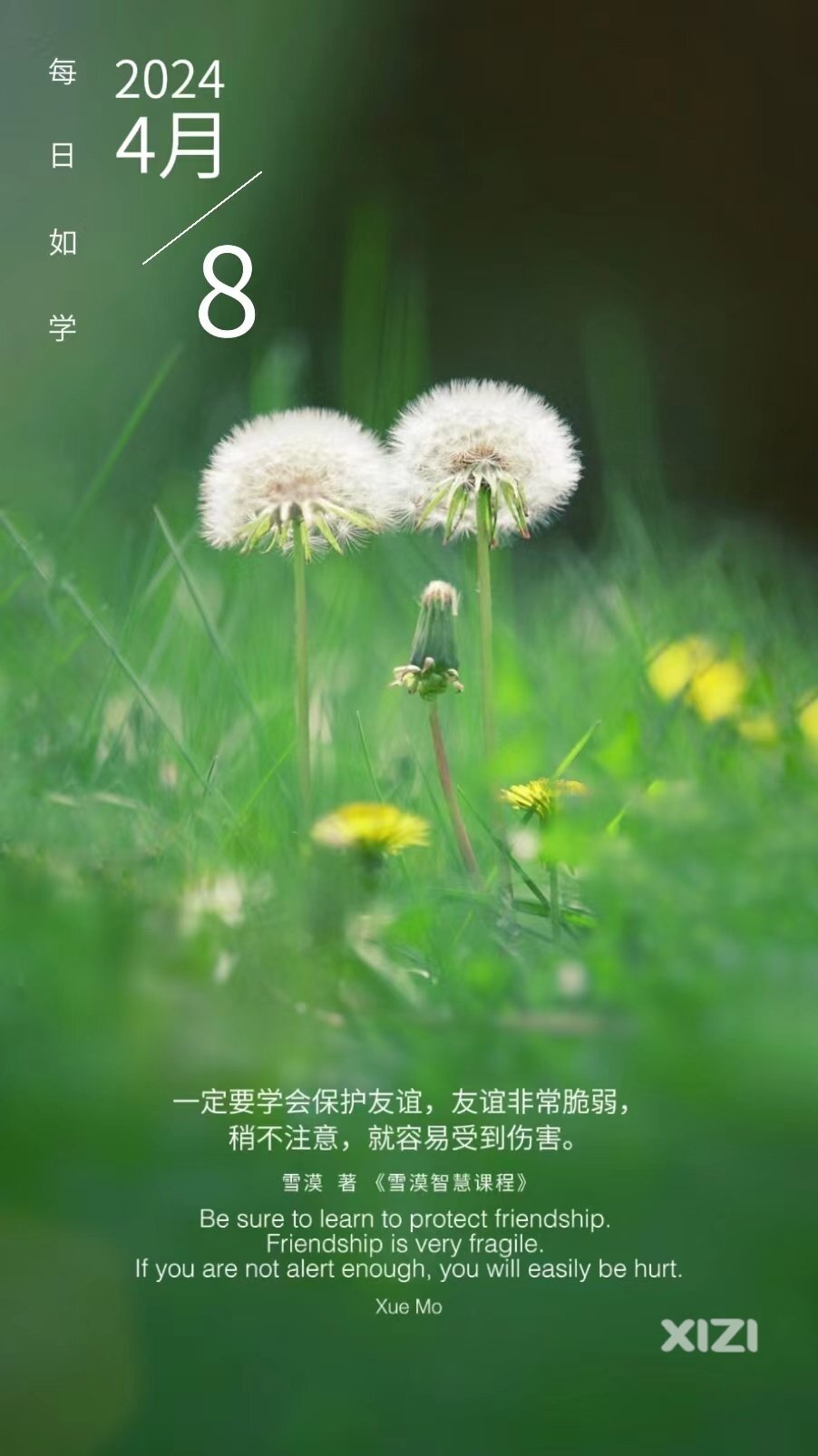 雪语1594