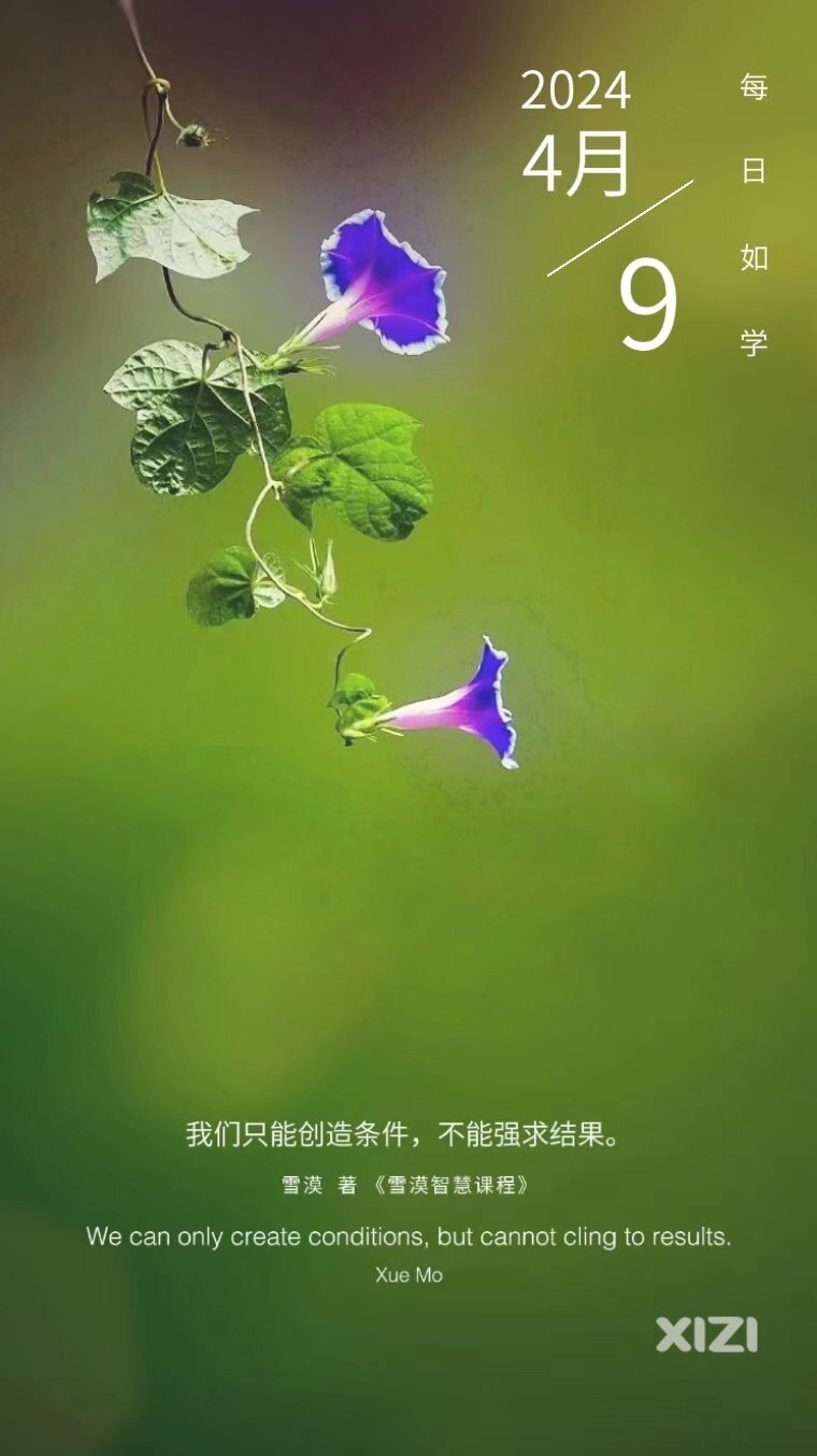 雪语1595