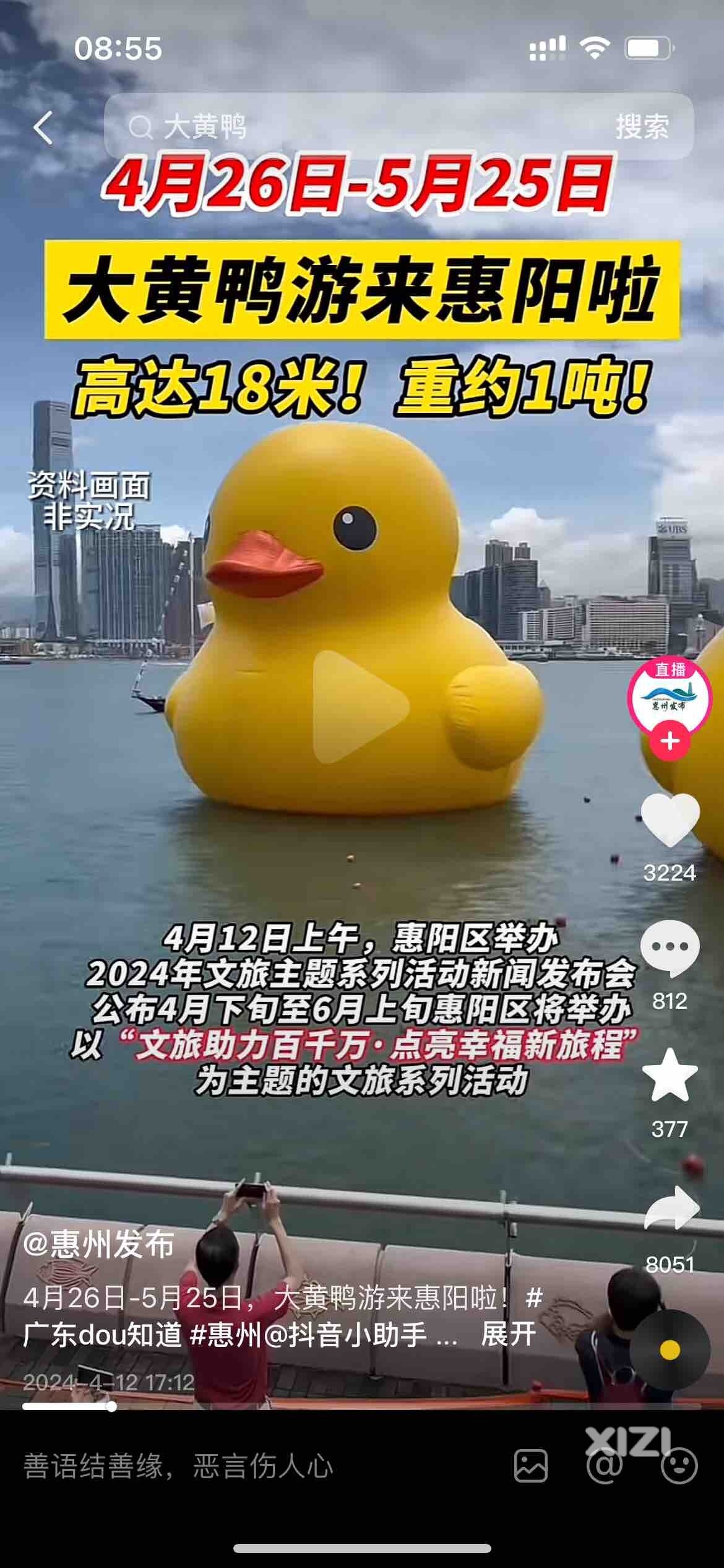 大黄鸭来惠州啦