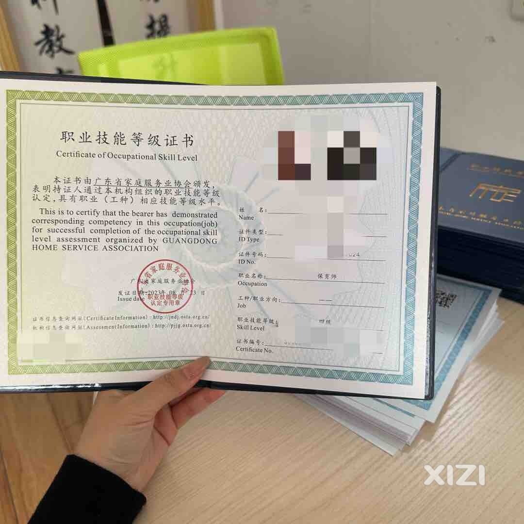 保育师/育婴员技能等