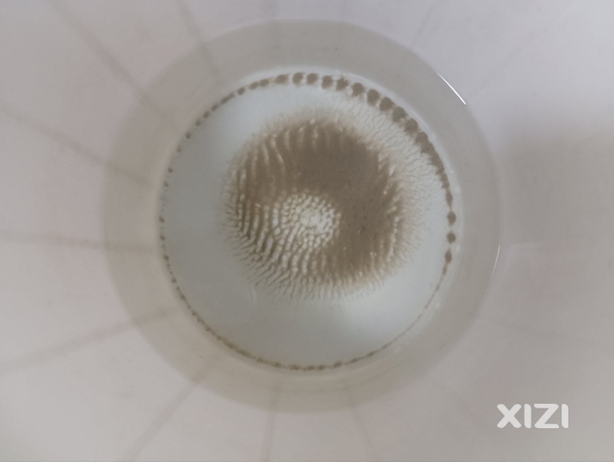 海边海水有辐射监测战毛