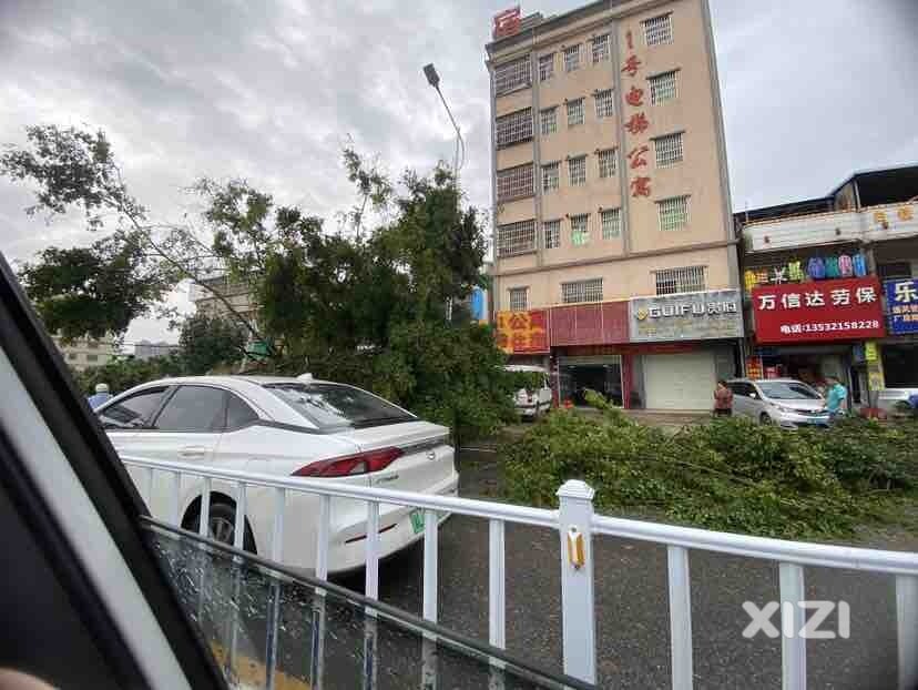 昨晚的一场大暴雨