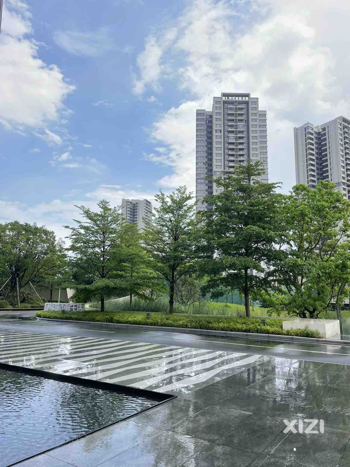 今天是4月26号，太阳雨