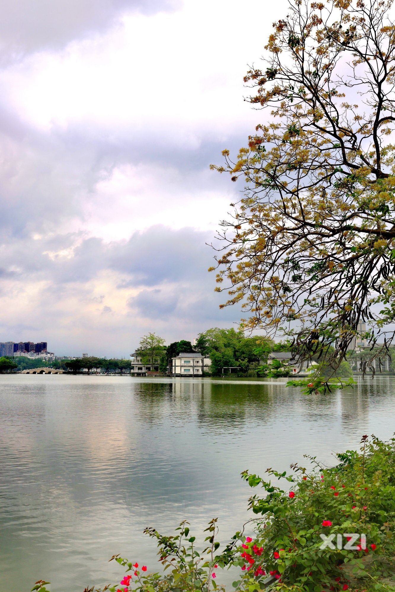 暴雨间隙，陈公堤景致