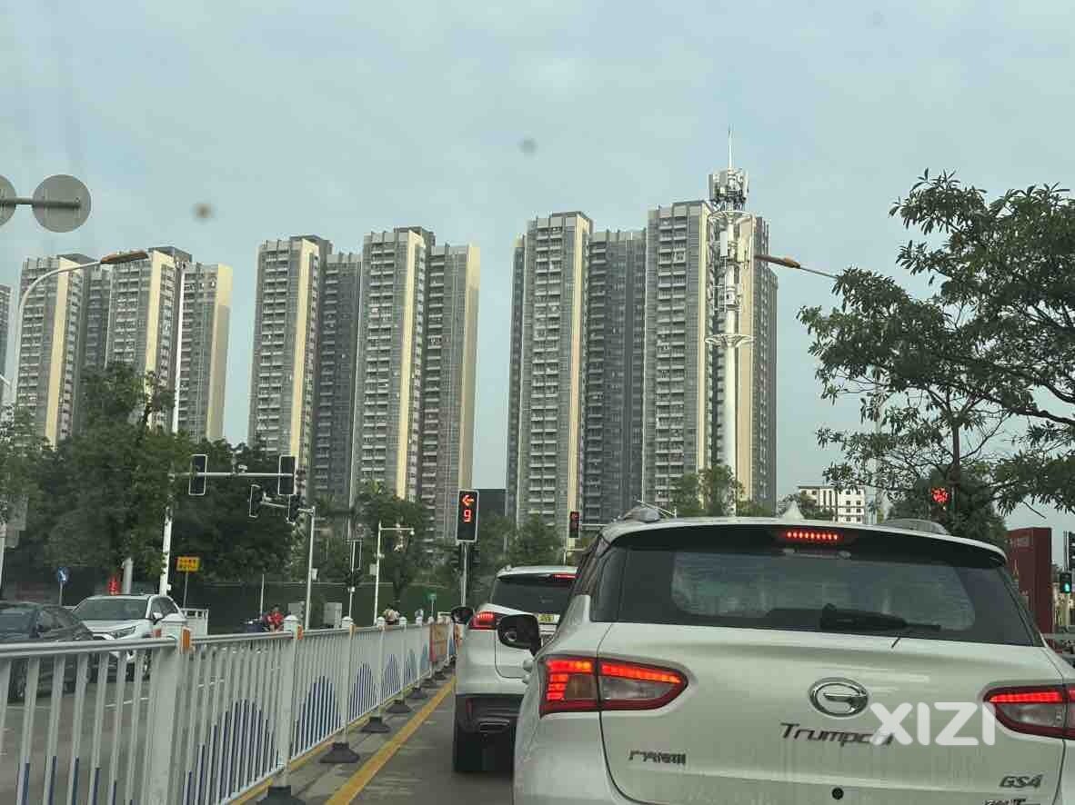 隆生这里的红绿灯，真是服了
