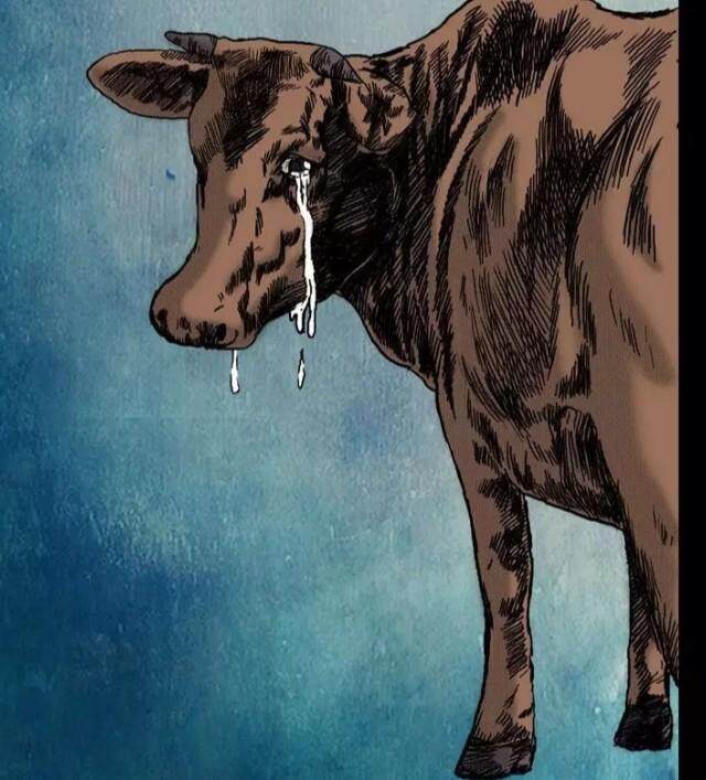 老黄牛