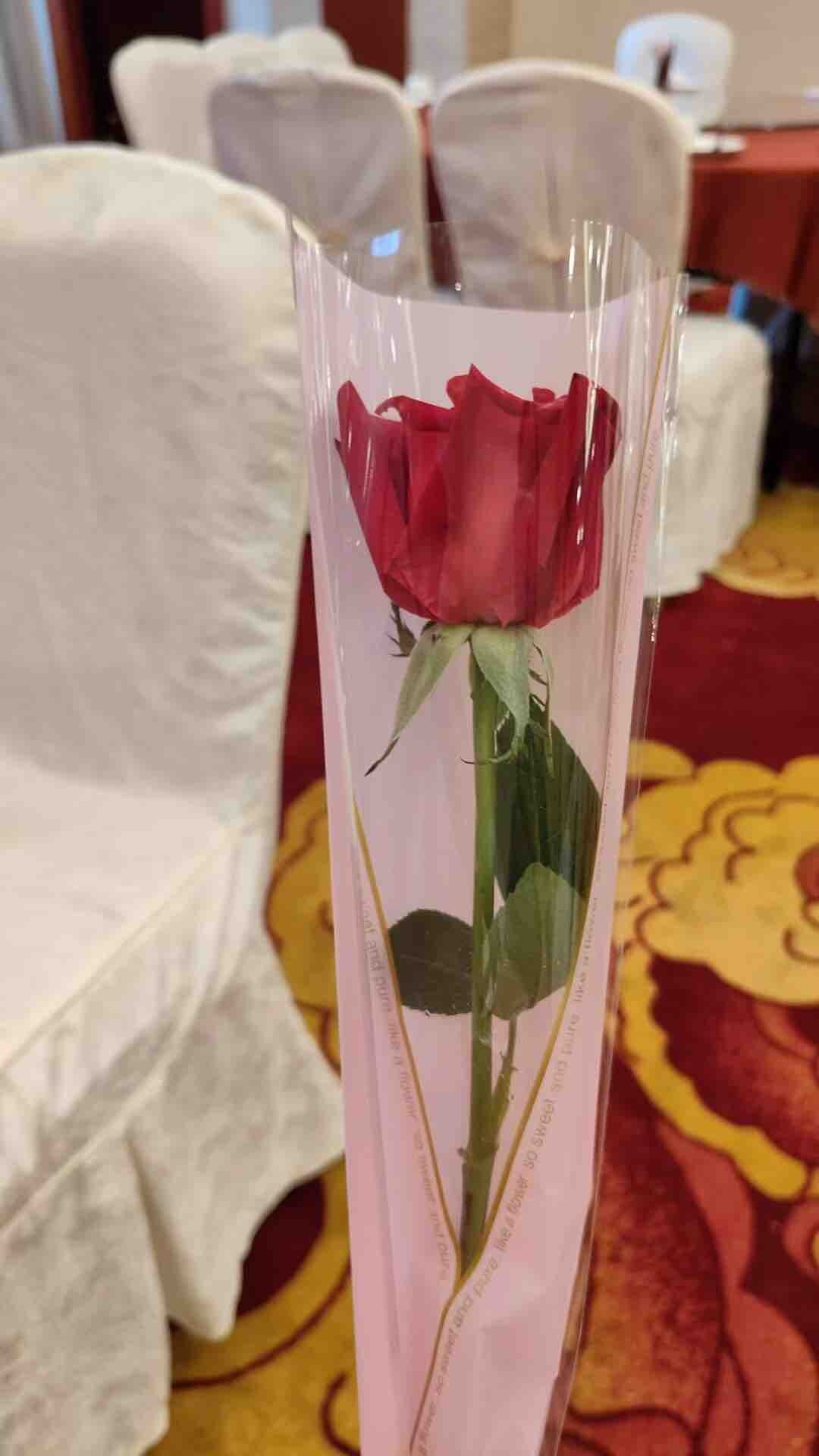 母亲节
