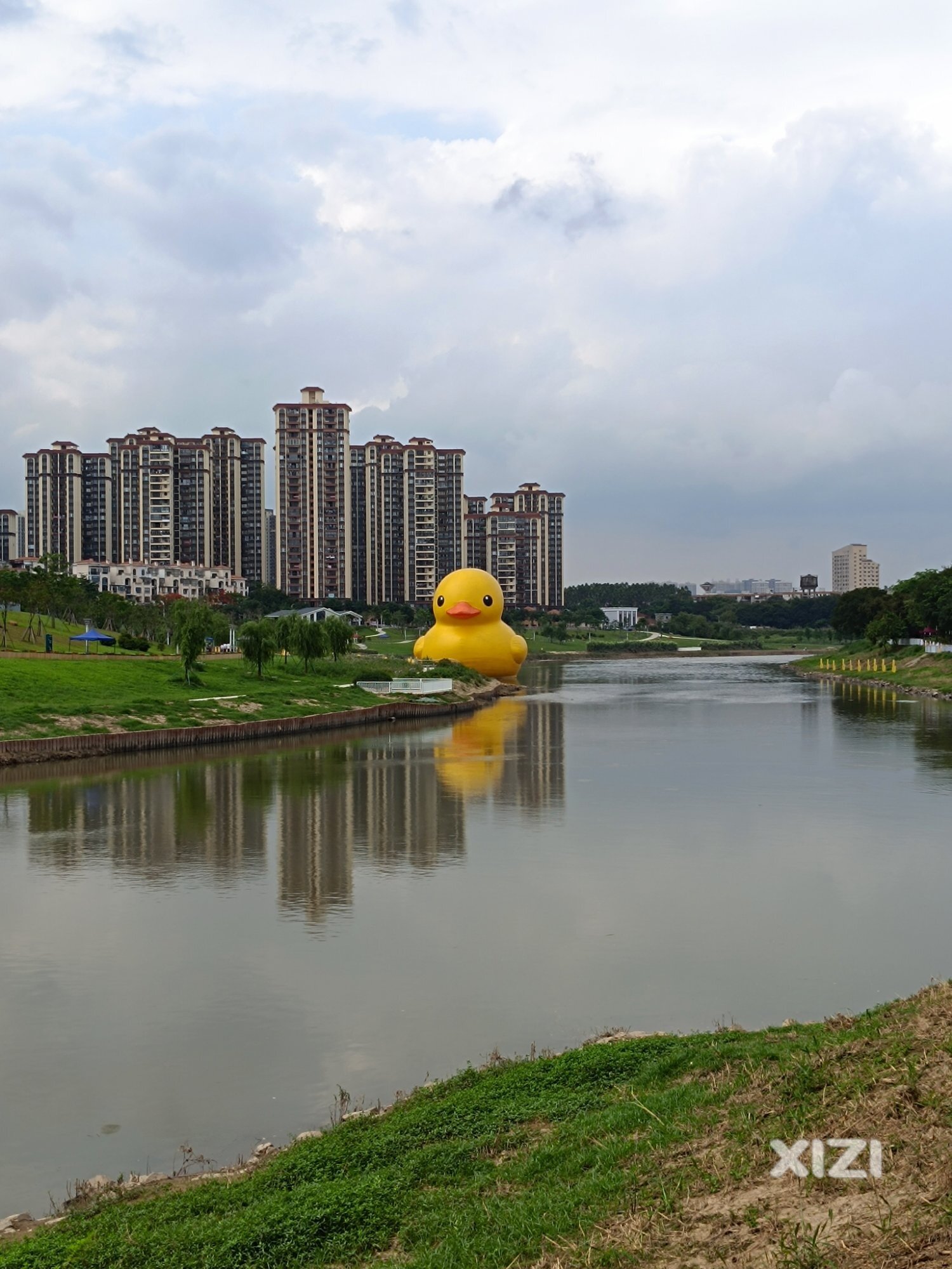 大大大黄鸭