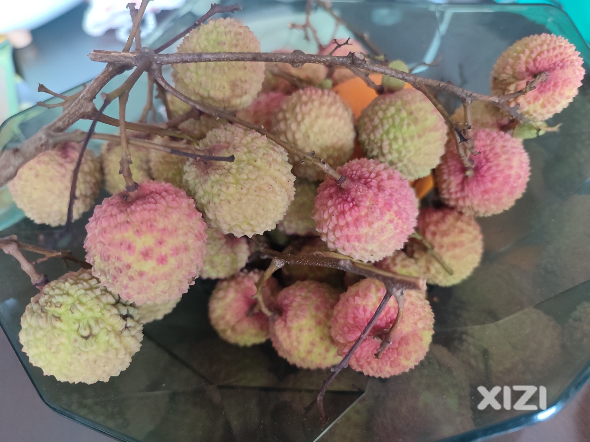 桂味