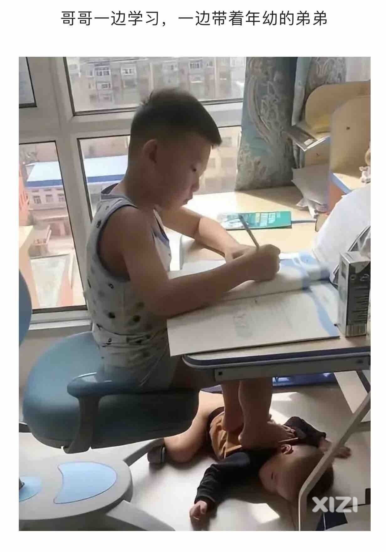 丰渚园荷花开了吗？
