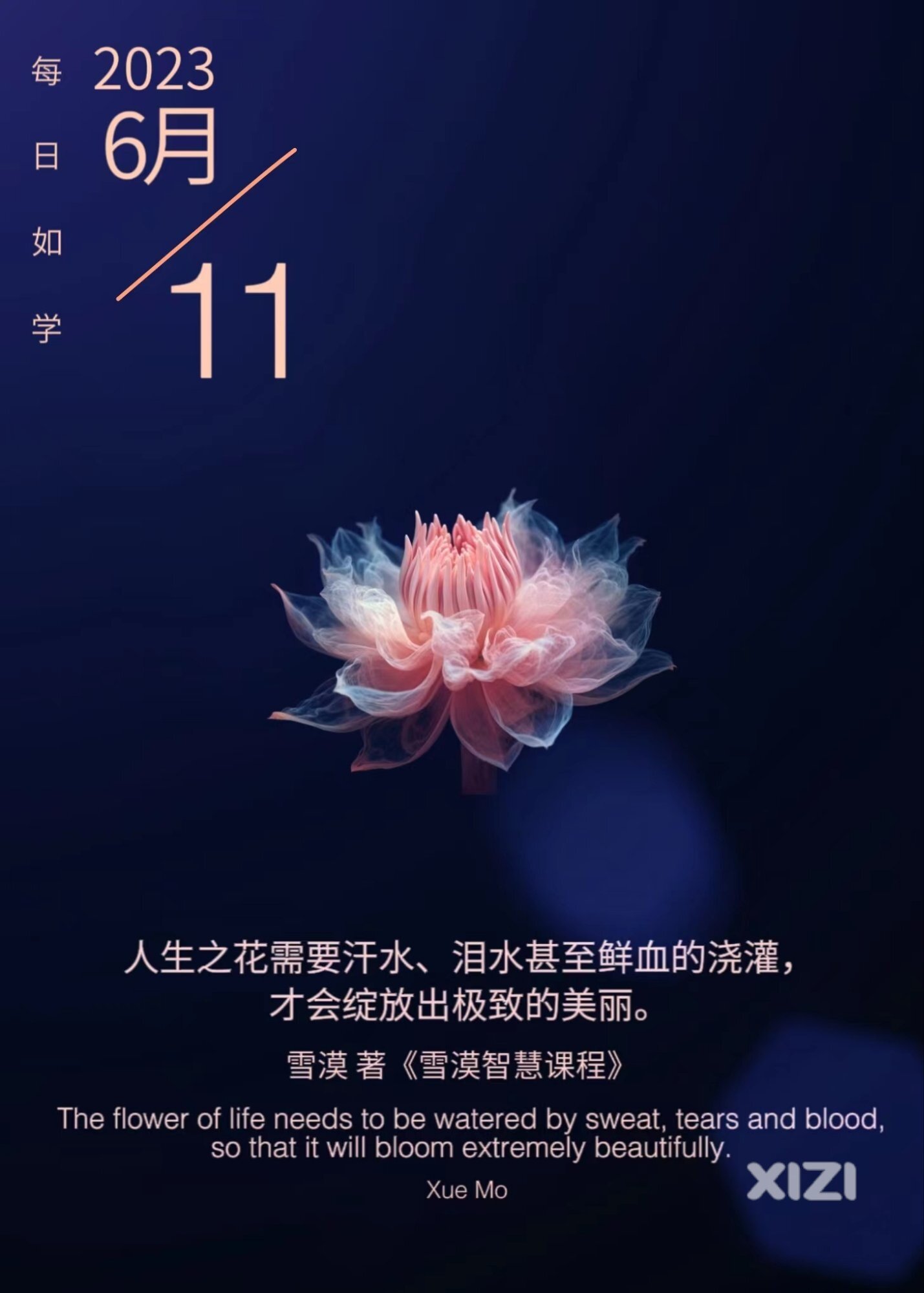 雪语1292