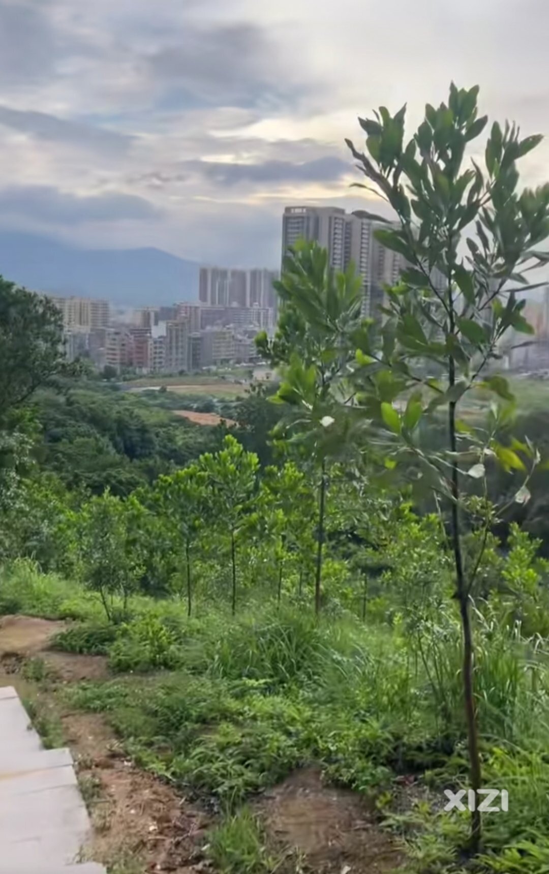 吉隆鸡公岭森林公园