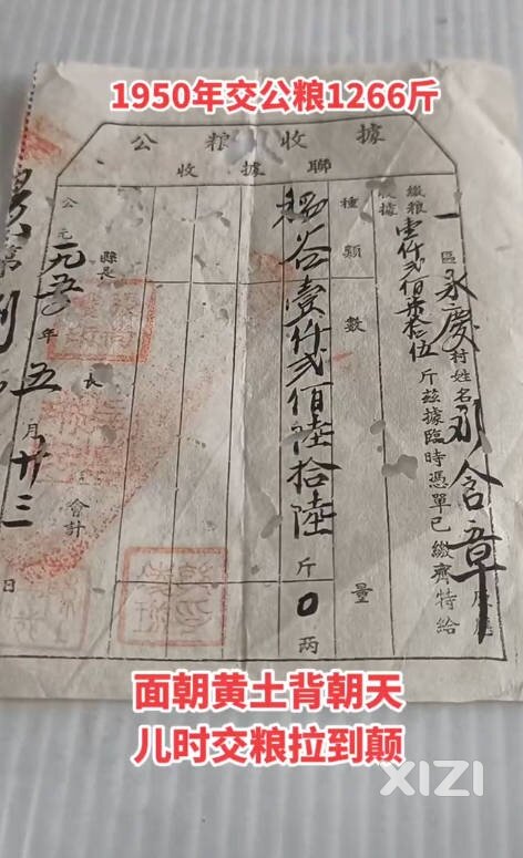 当年家里顿顿大米饭的
