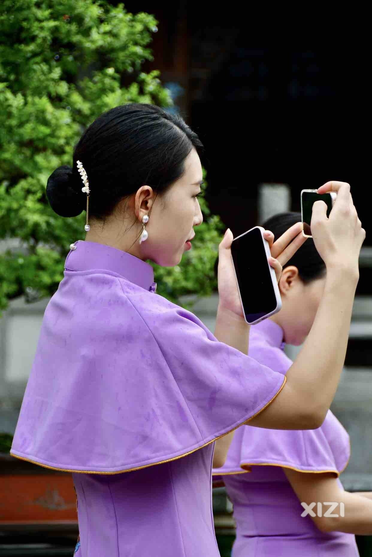 丰渚花开