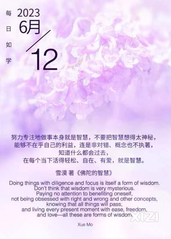 雪语1293