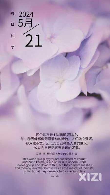 雪语1637