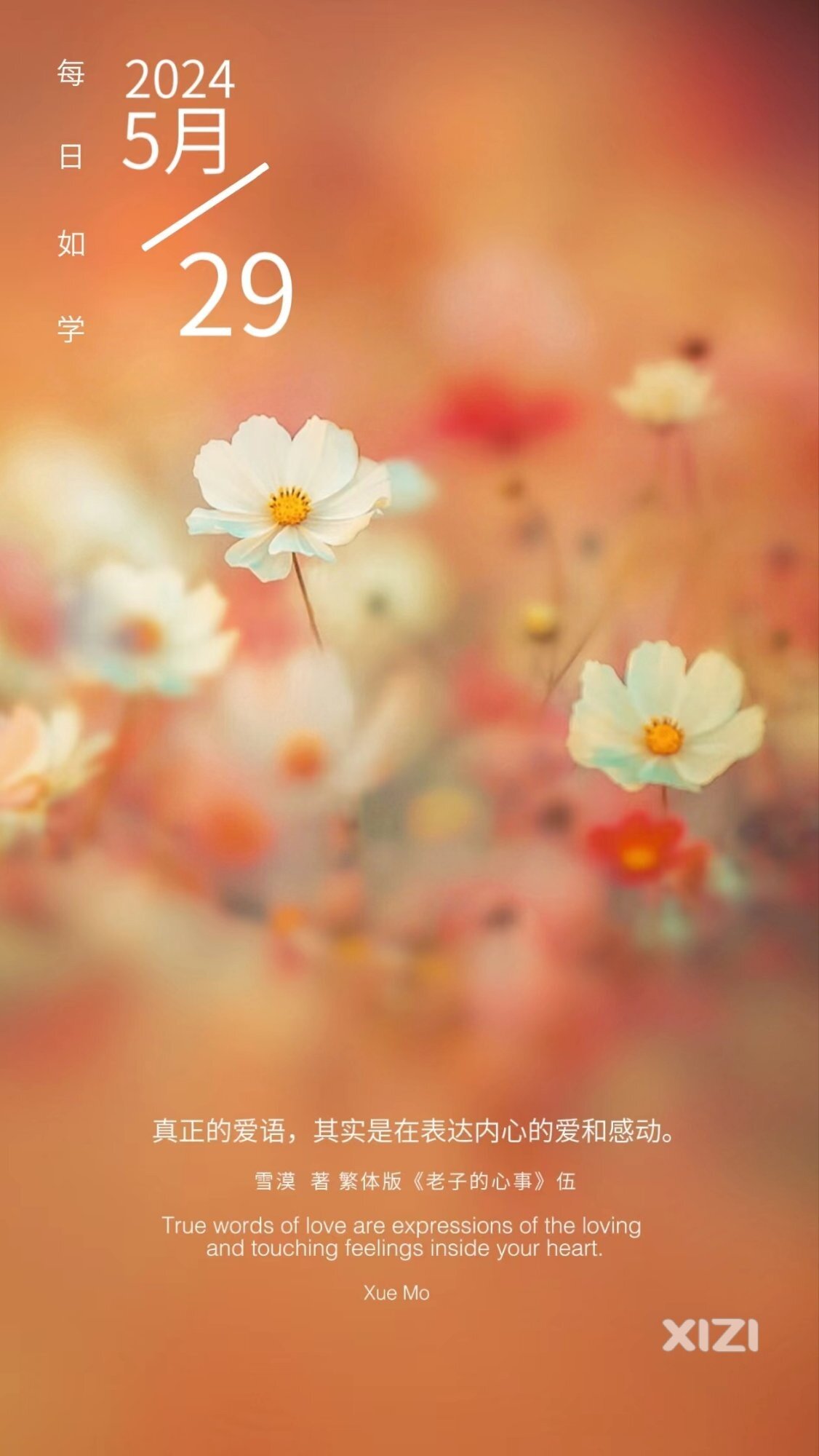 雪语1645