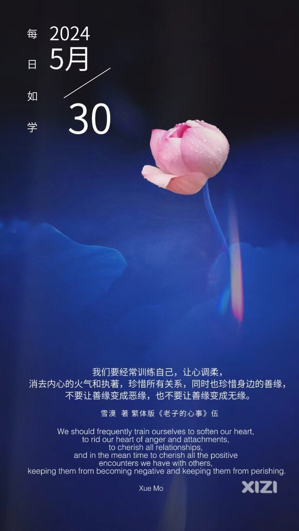 雪语1646