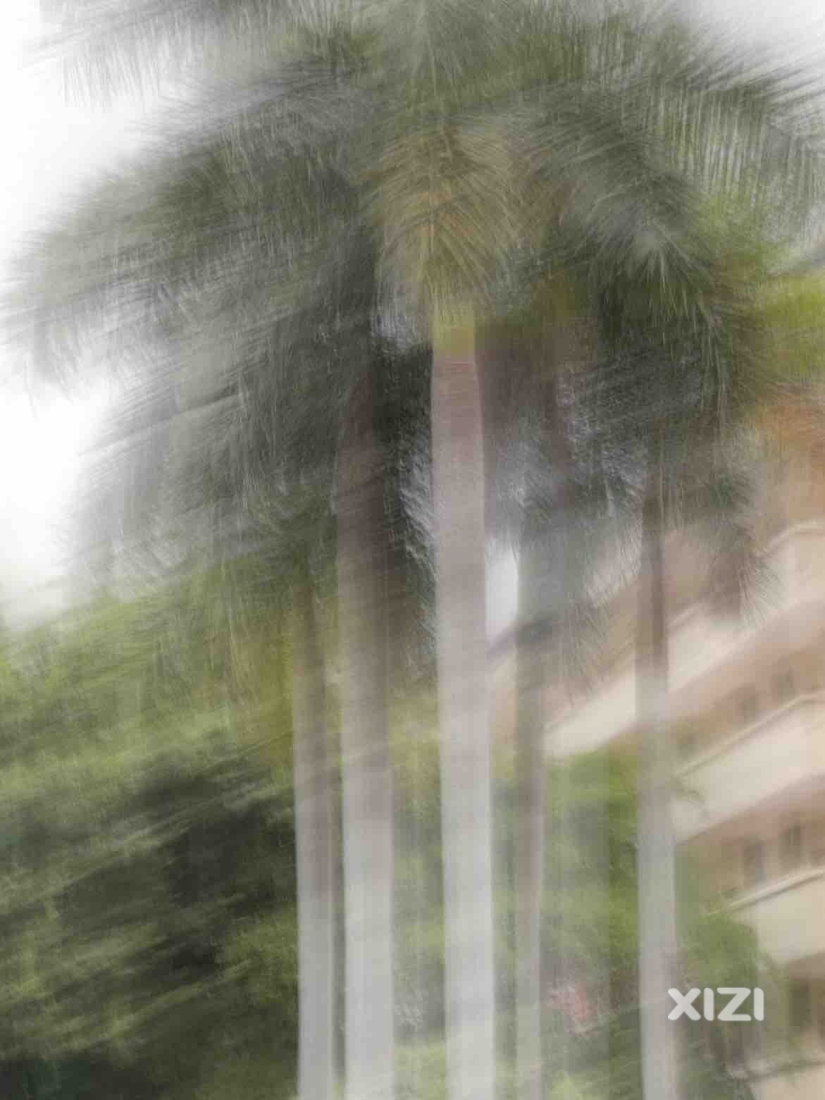 台风要来了，雨特别大！