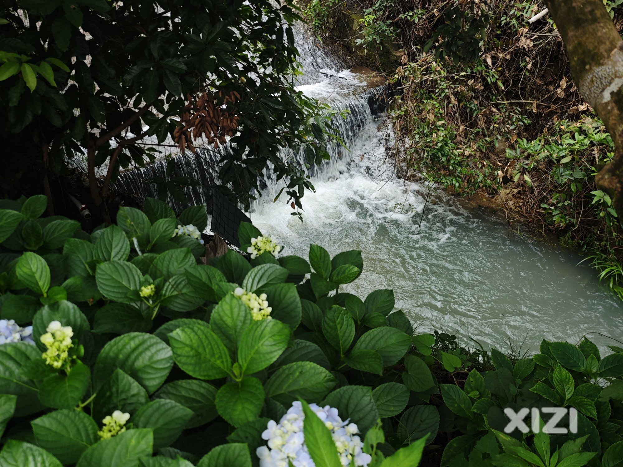 台风天——小溪玩水。