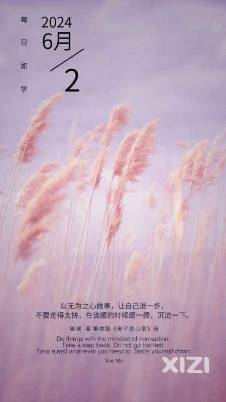 雪语1649