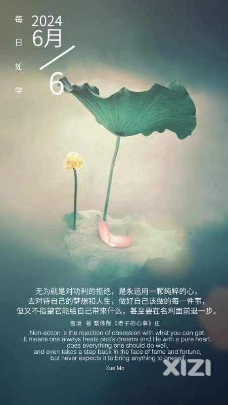 雪语1653