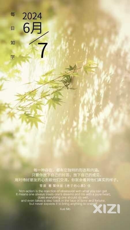 雪语1654