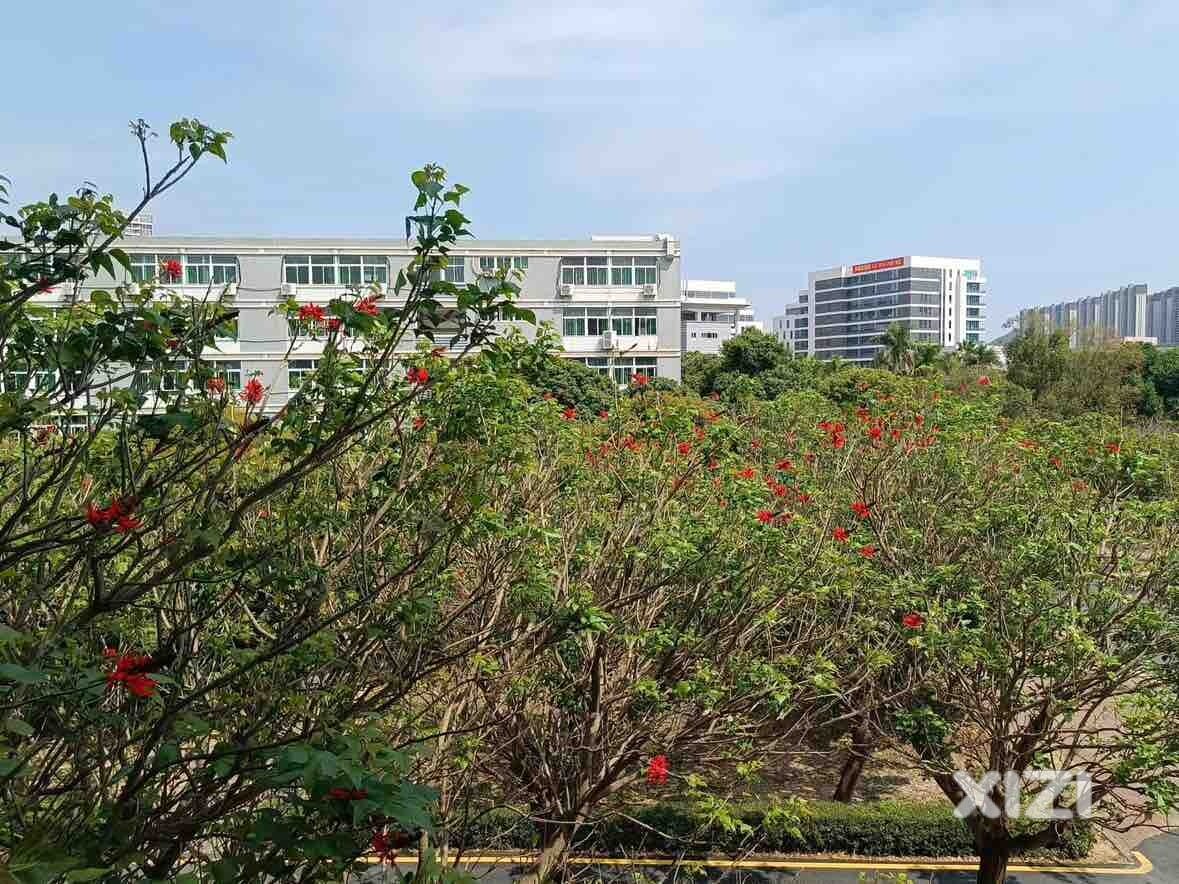 又是一年高考时！泰雅加油！