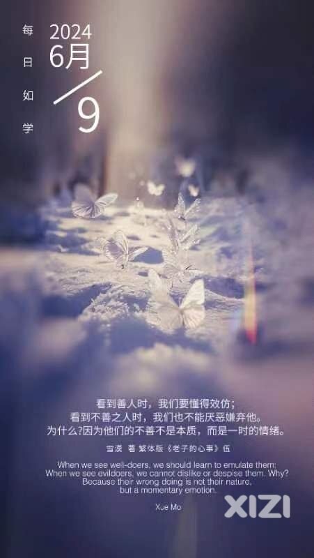 雪语1656