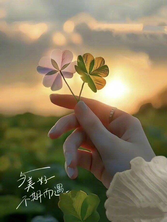 为啥洛枳去游乐园就能