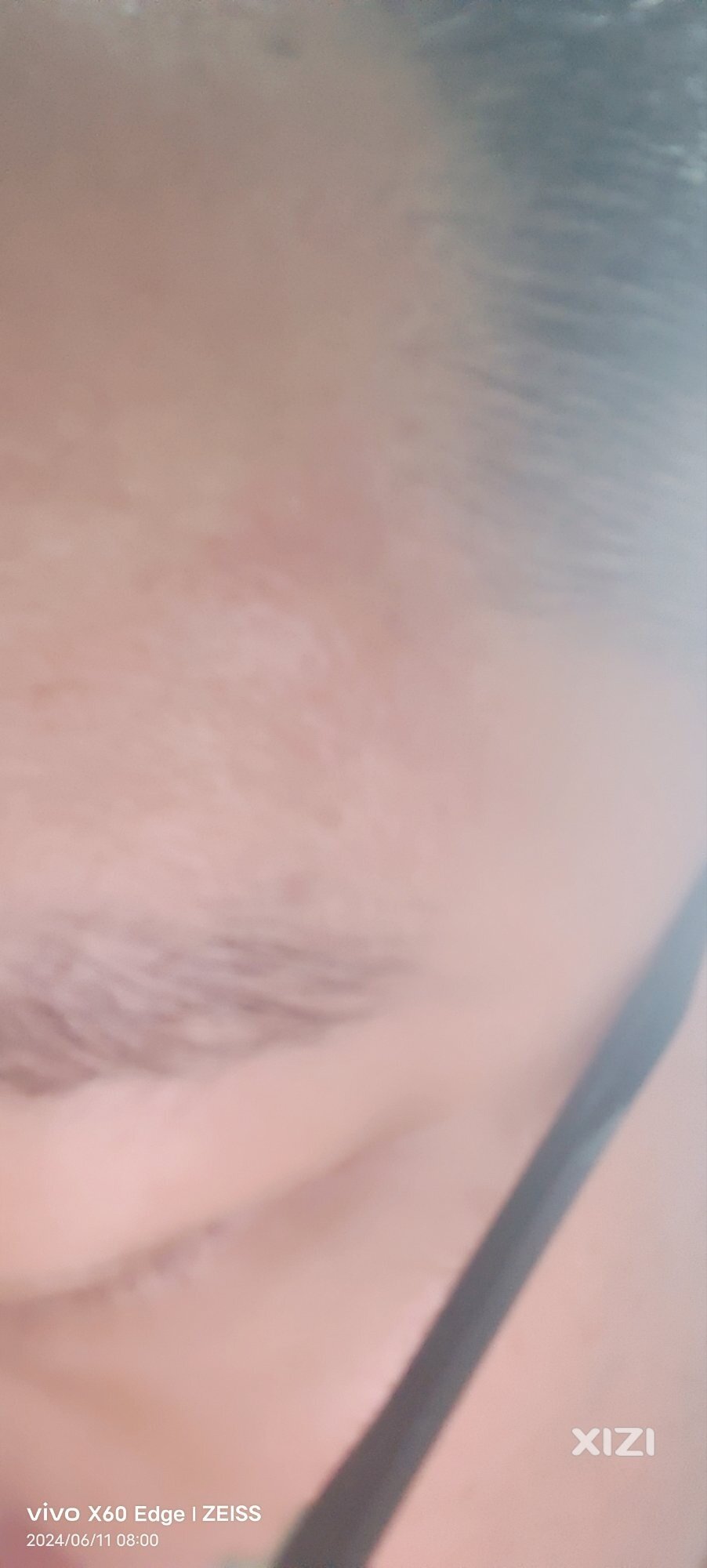 请市政还有园林部门进来看下