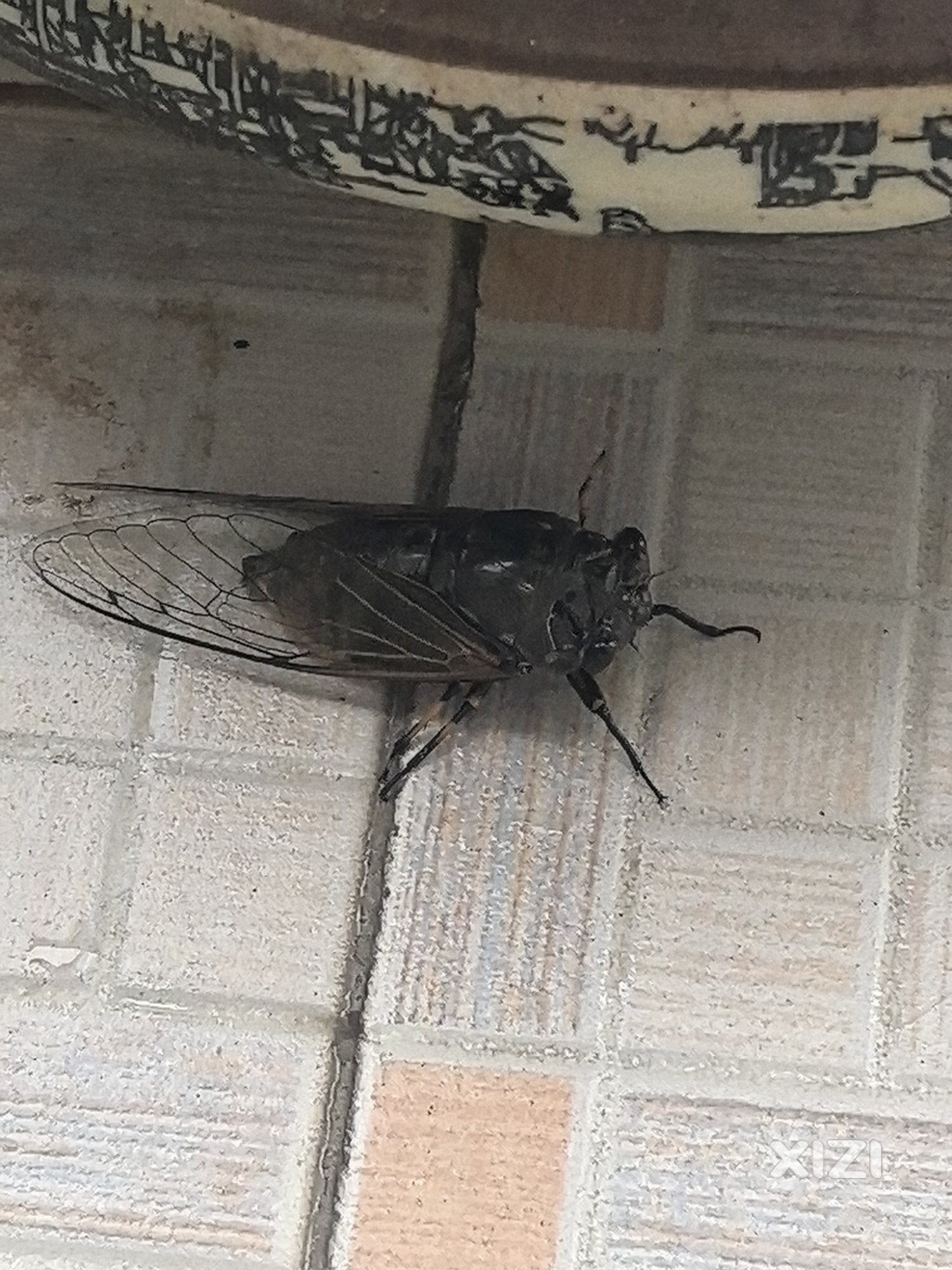 这是？？