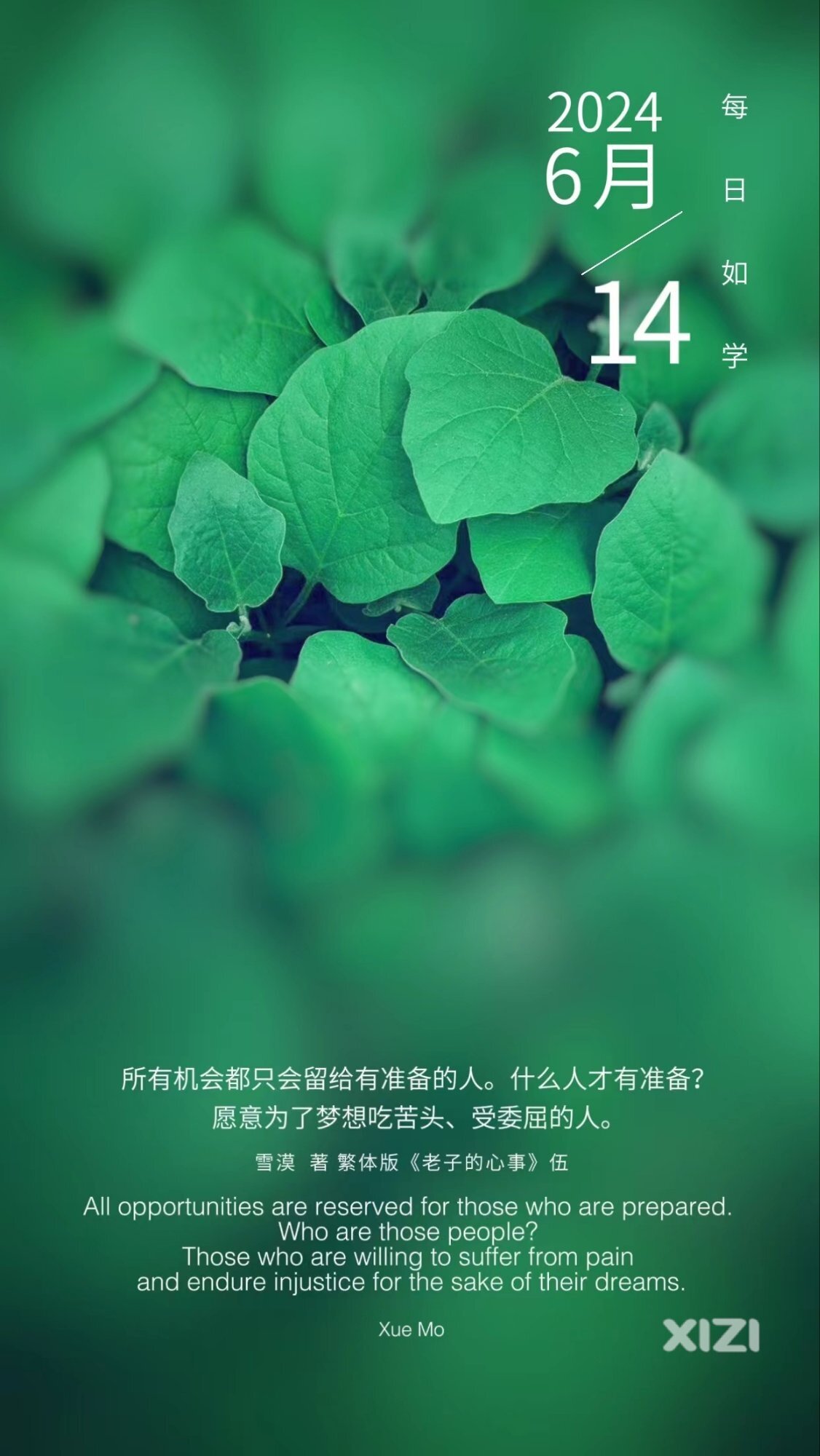 雪语1661