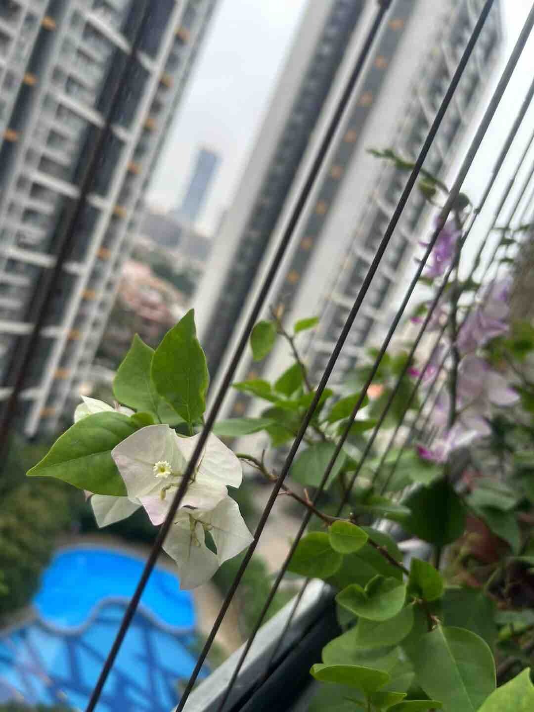 父亲节  父亲大人身体健康，快快乐乐。