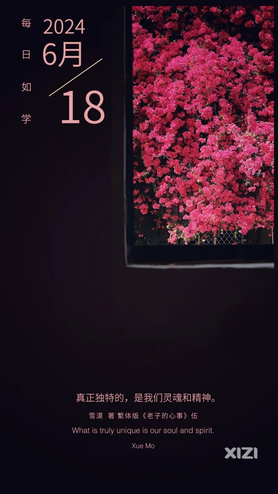 雪语1665