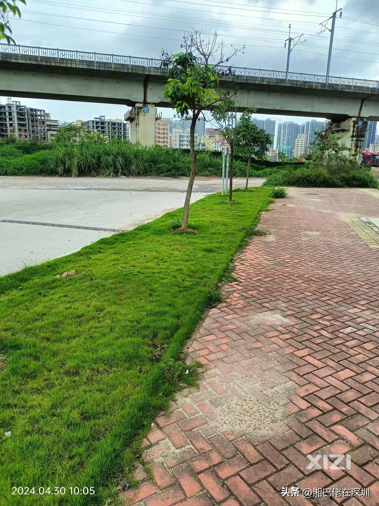 关于龙山三路厦深高铁桥下路面坑坑洼洼