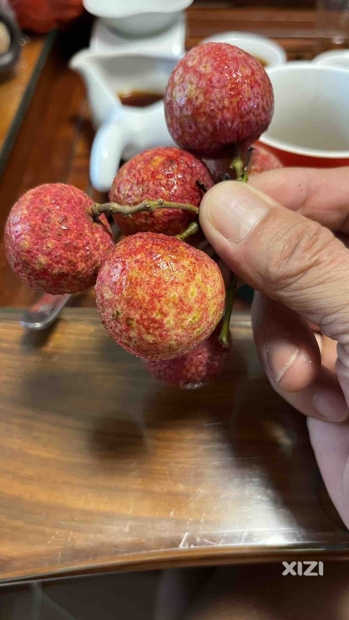 大道至简，不为外物所
