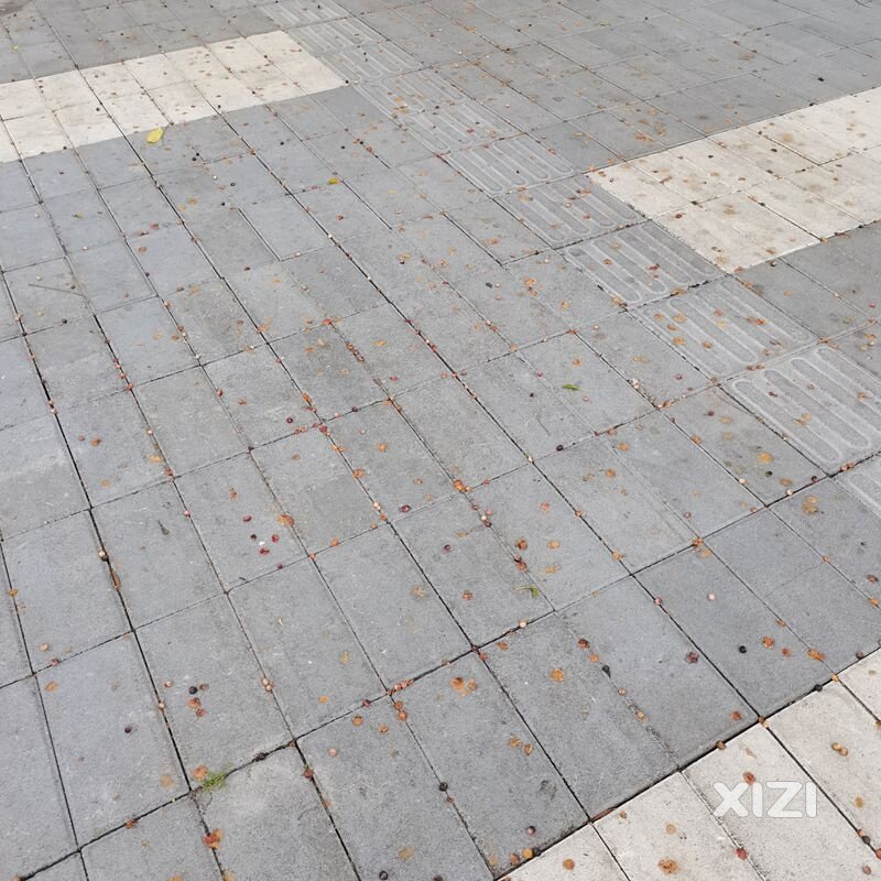 这种绿化树是