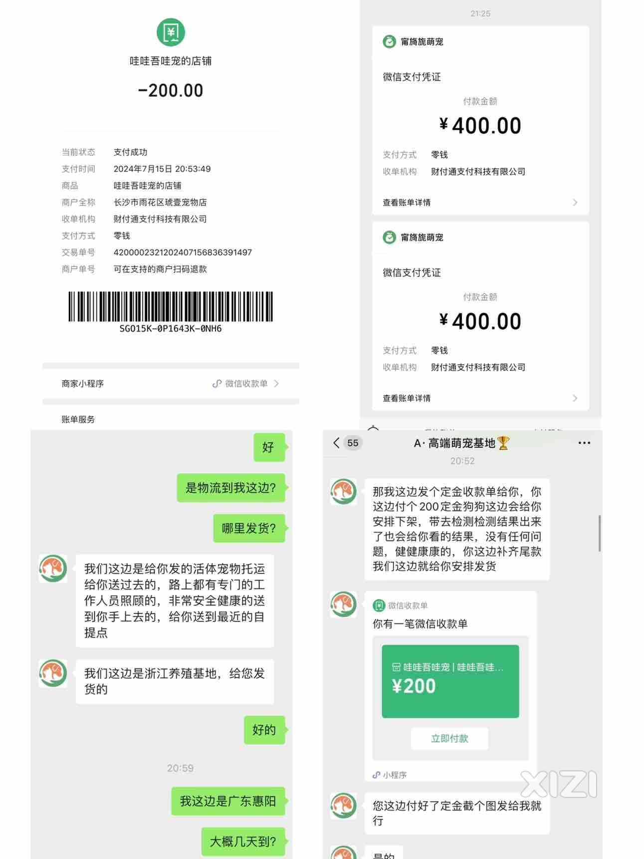 微信买狗狗被骗