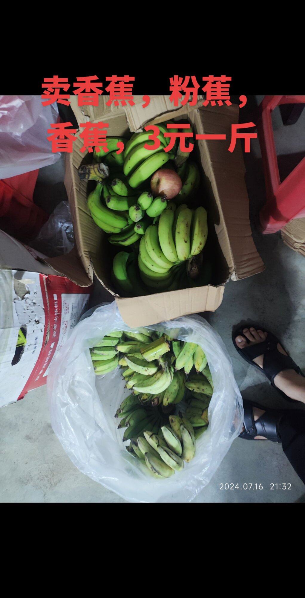 现实生活好像挺多无性婚姻