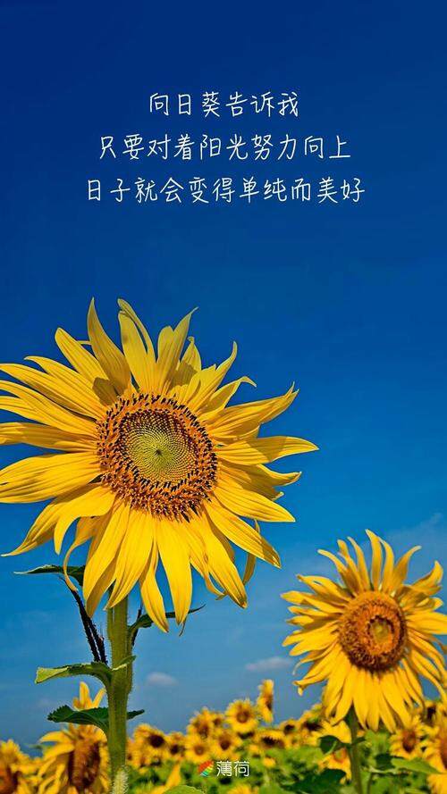 如果时间可以倒流，你最想回到哪个时刻？