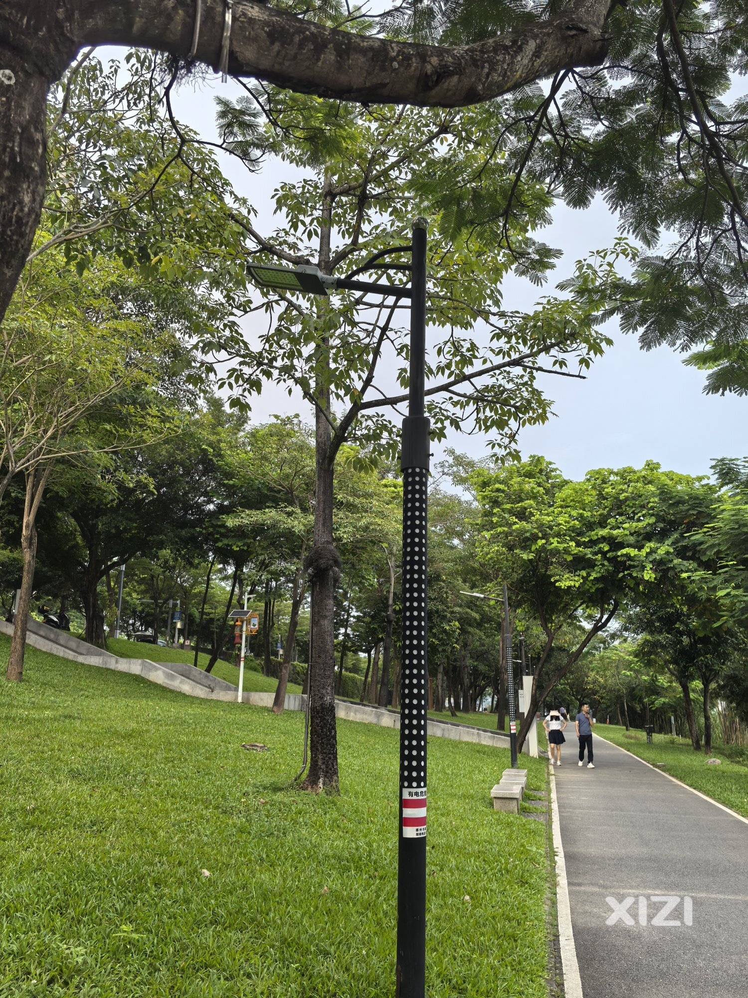东江公园路灯真奇怪