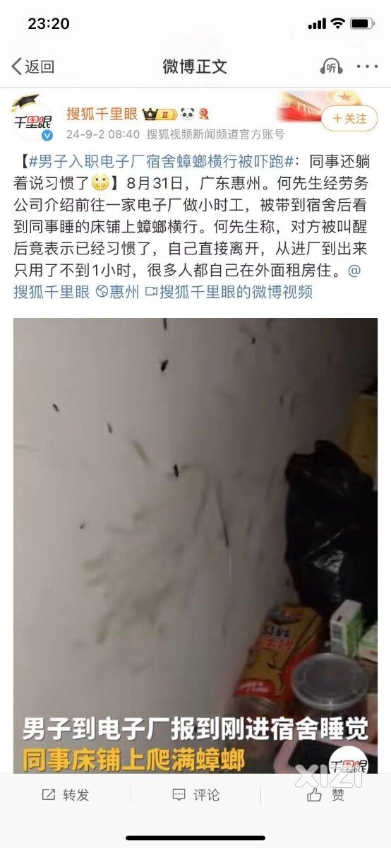 蟑螂到处爬，还是习惯了，懒到一定境界就是习惯