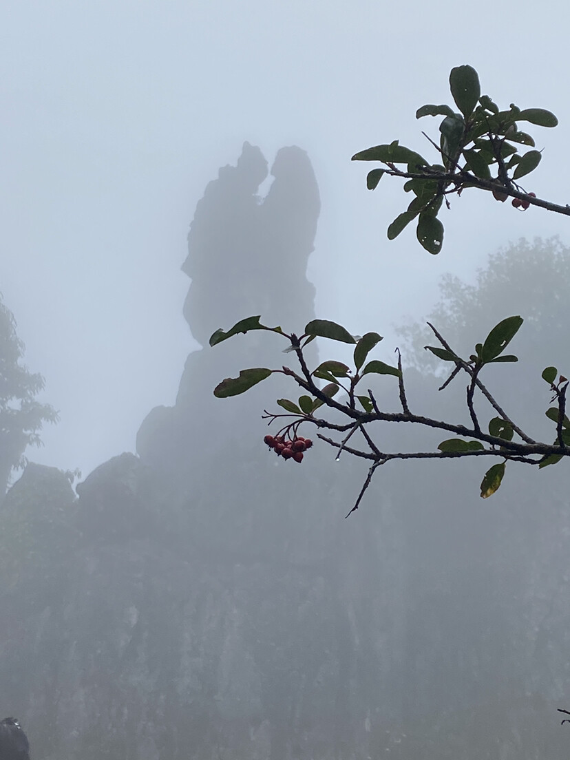 端午节，去昭关浪的一起哈